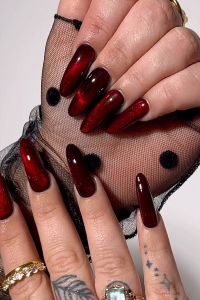13. Black Cherry Velvet Cat-Eye Long Nails