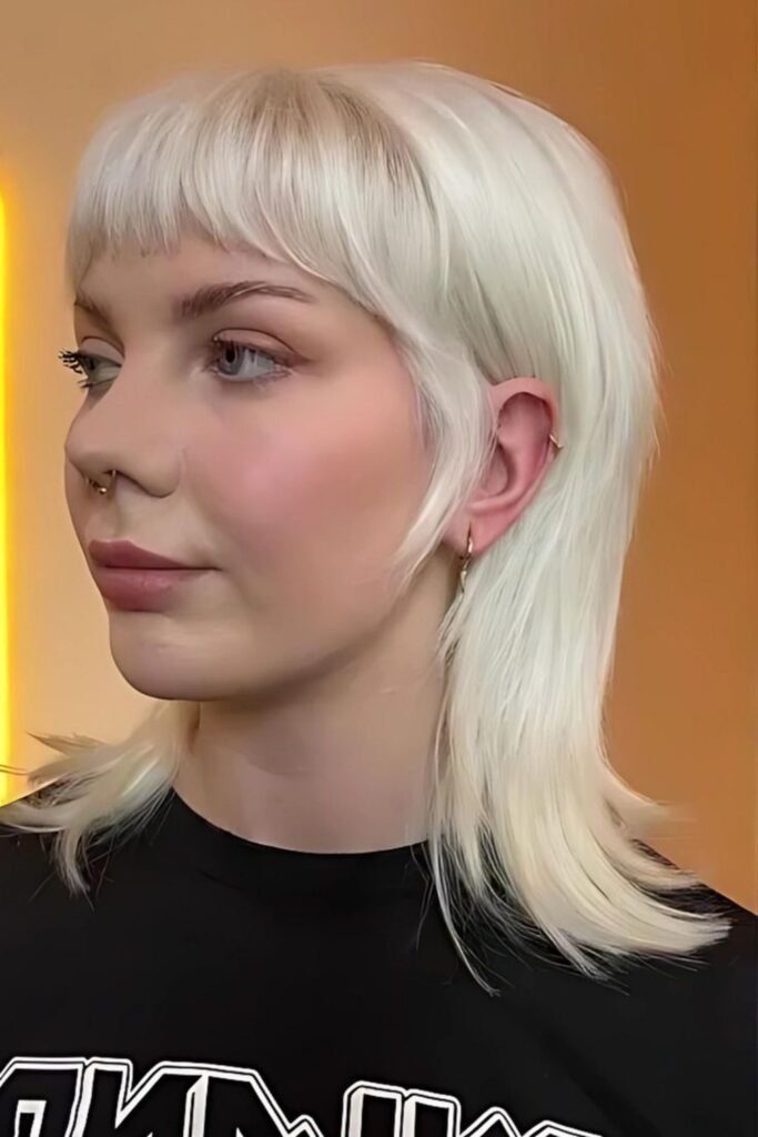 18. Dark Wild Shag with Silver Highlights