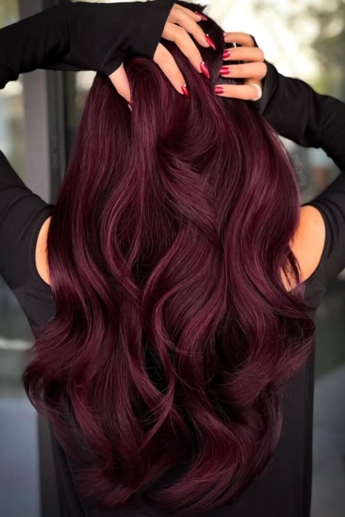 4. Dark Burgundy Violet Long Waves